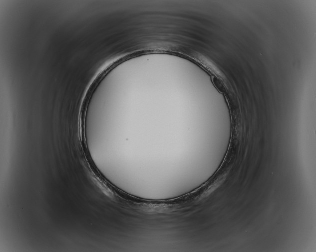 X0000086910940200705071301