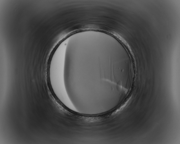 X0000086910941200705071301