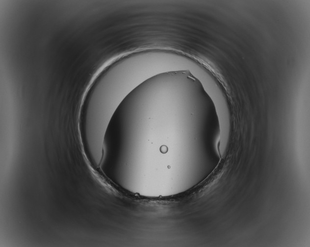 X0000086910942200705071301