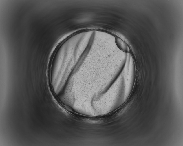 X0000086910943200705071301