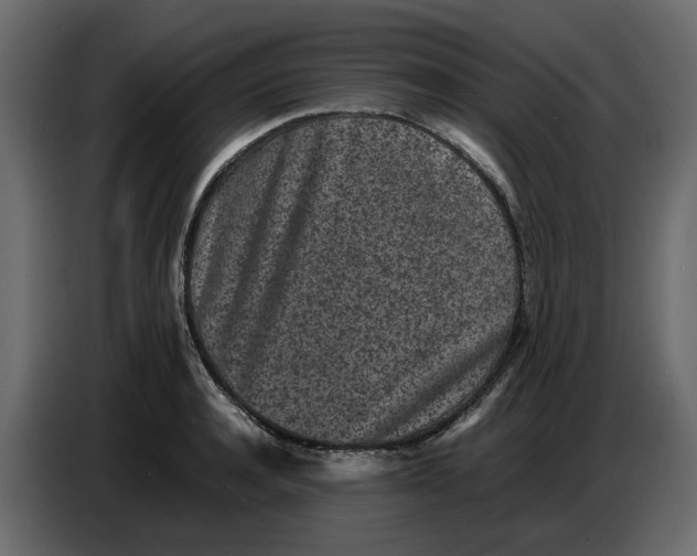 X0000086910944200705071301