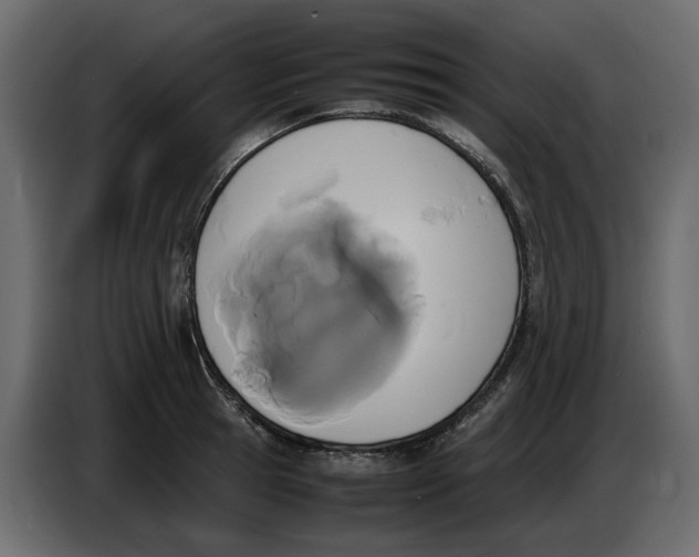 X0000086910945200705071301