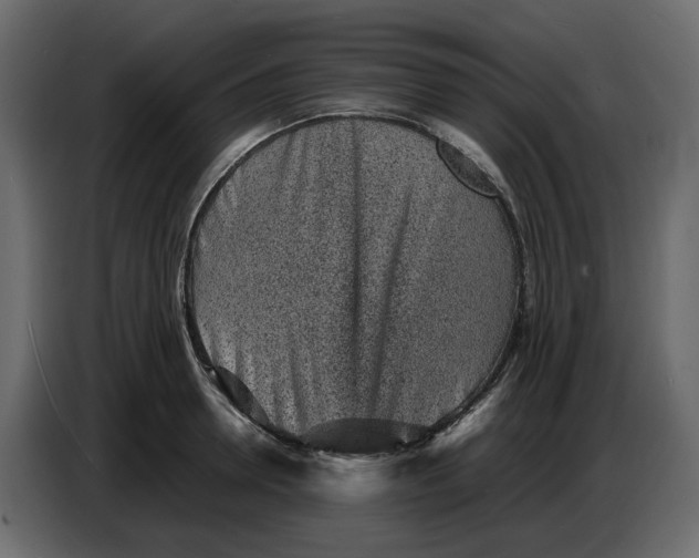 X0000086910946200705071301