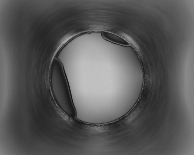 X0000086910948200705071301