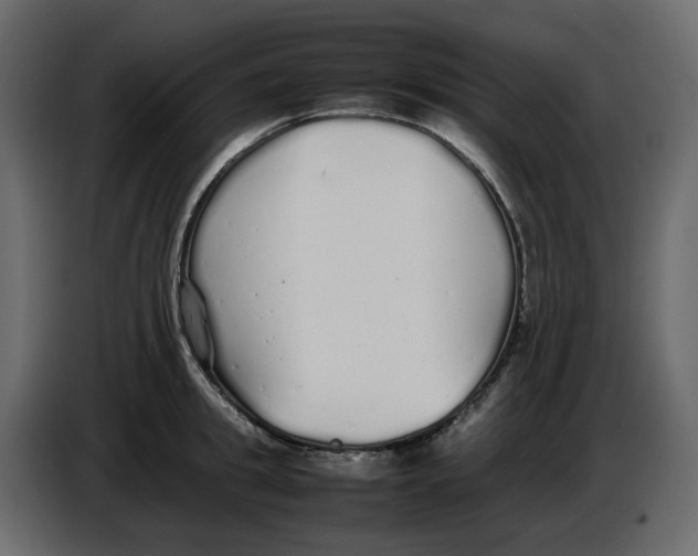 X0000086910949200705071301