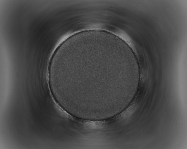 X0000086910950200705071301