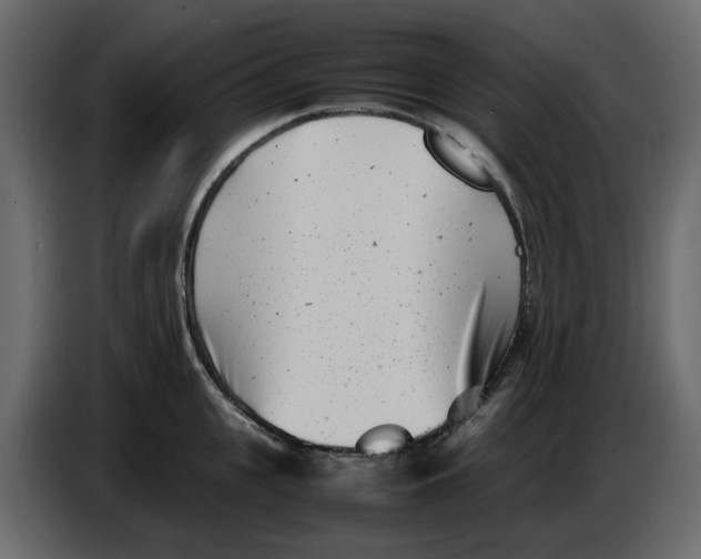 X0000086910951200705071301