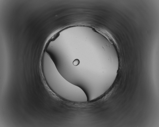 X0000086910952200705071301