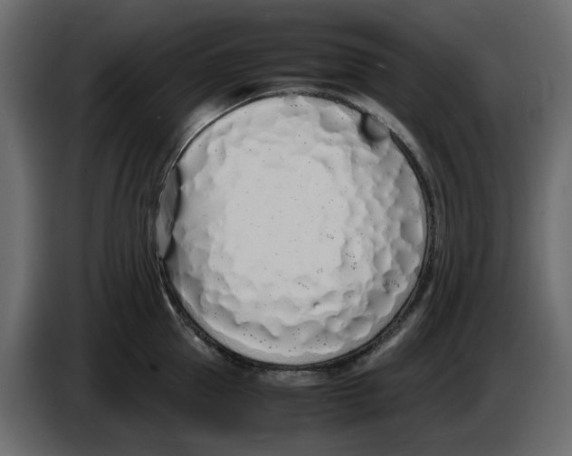 X0000086910953200705071301