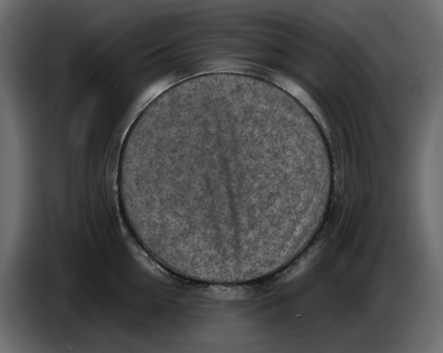 X0000086910954200705071301