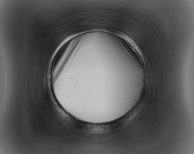 X0000086910955200705071301