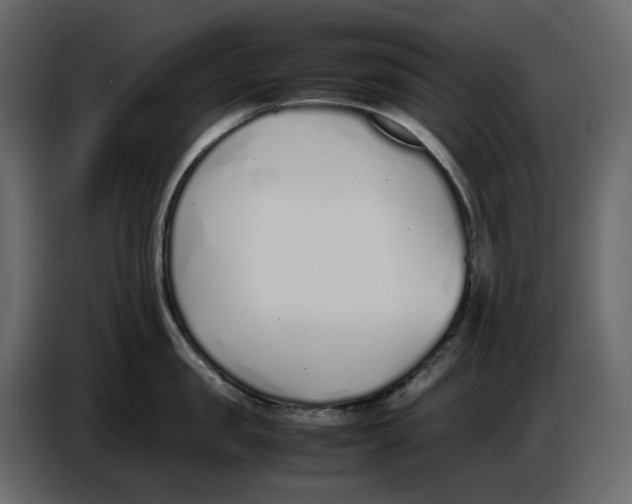 X0000086910957200705071301