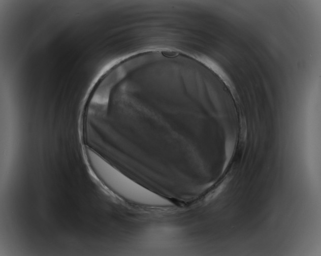 X0000086910958200705071301