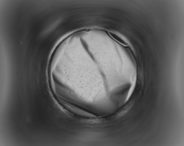 X0000086910959200705071301