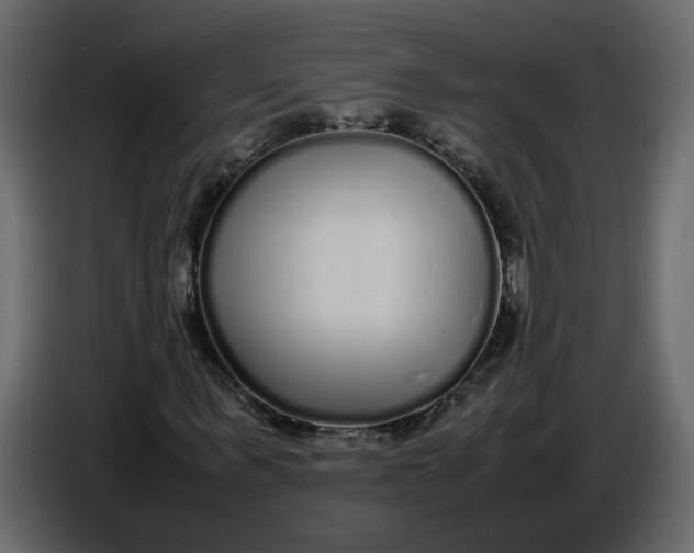 X0000086910963200705071300