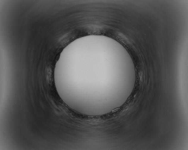 X0000086910964200705071300