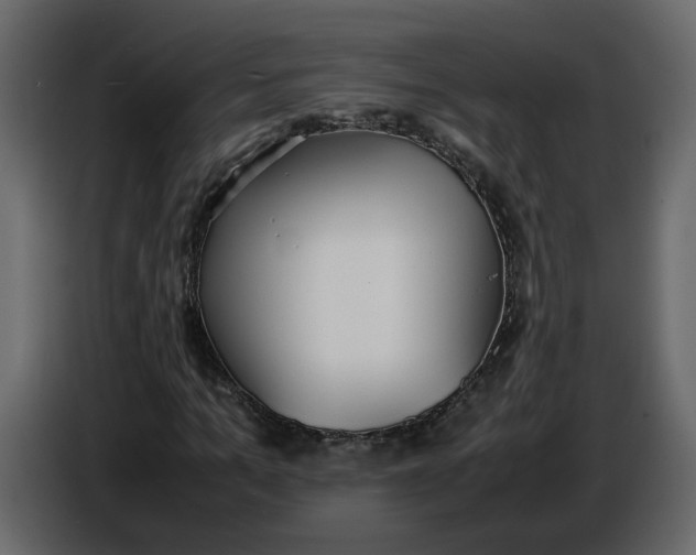 X0000086910965200705071300