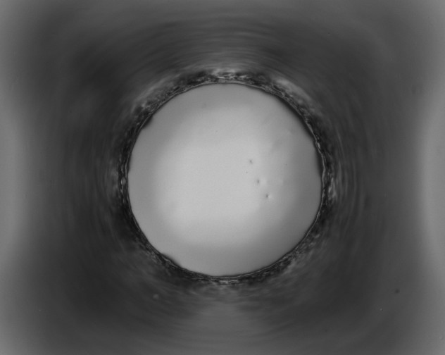 X0000086910966200705071300