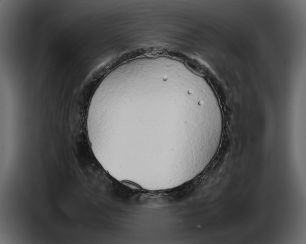 X0000086910967200705071300