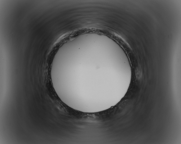 X0000086910968200705071300