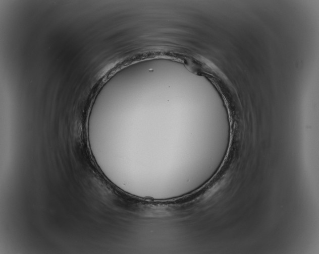 X0000086910969200705071300