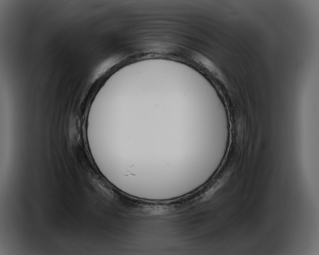 X0000086910970200705071300