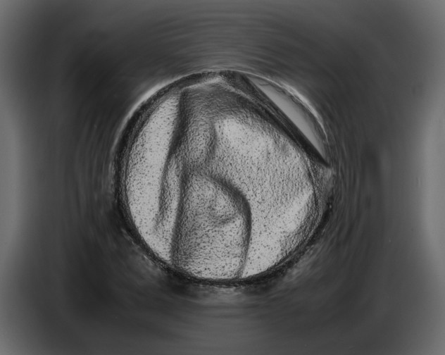 X0000086910975200705071300