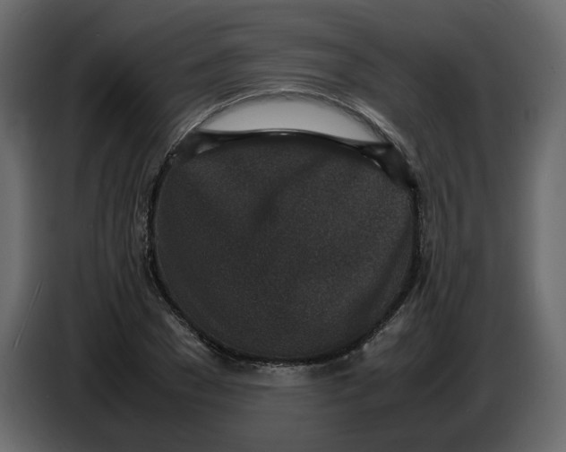 X0000086910977200705071300