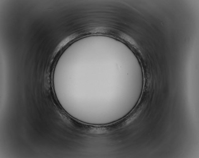 X0000086910978200705071300