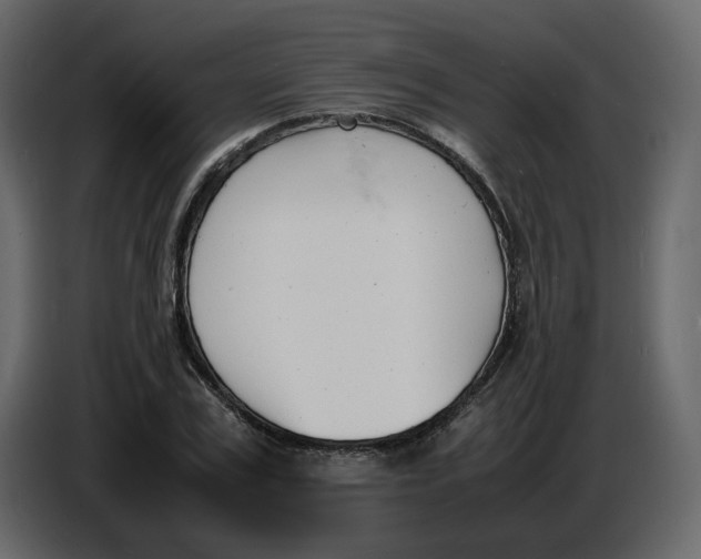 X0000086910979200705071300