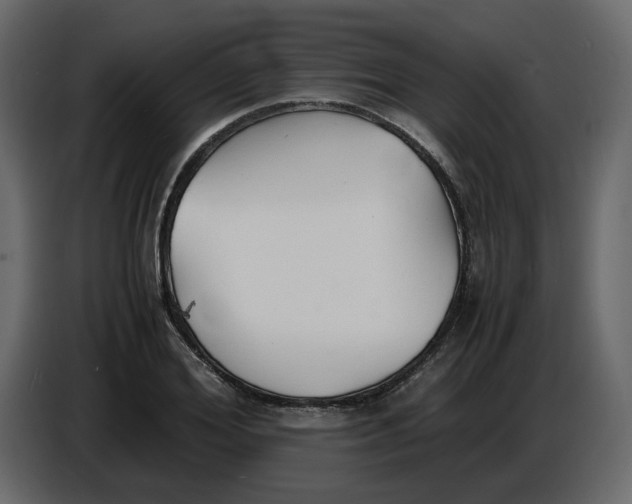 X0000086910980200705071300