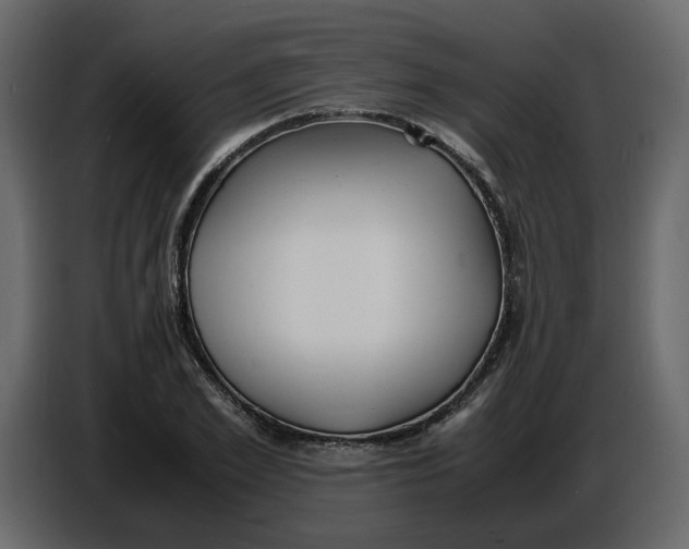 X0000086910981200705071300