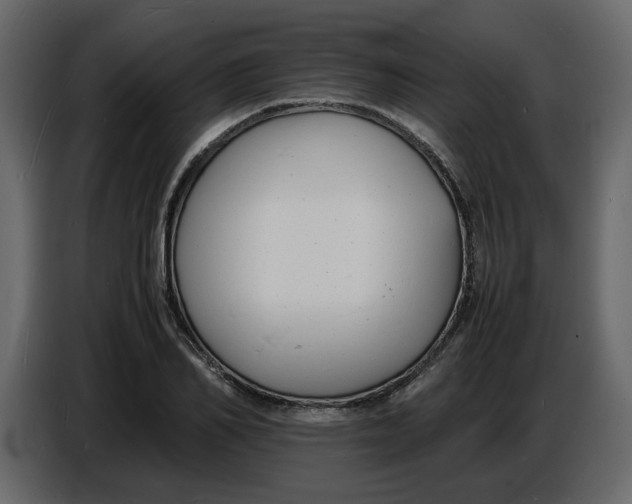 X0000086910982200705071300