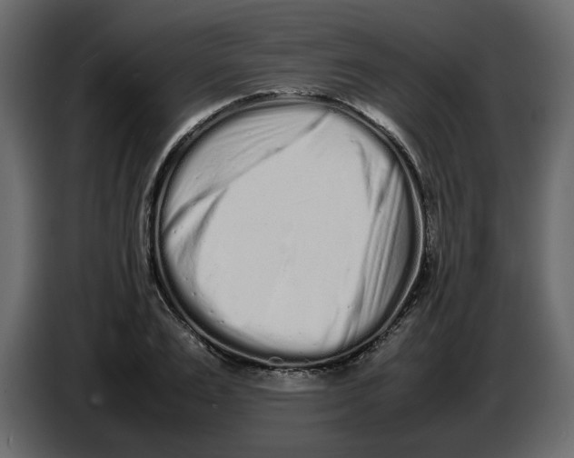 X0000086910983200705071300