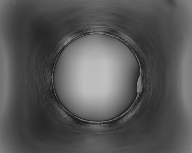 X0000086910985200705071300