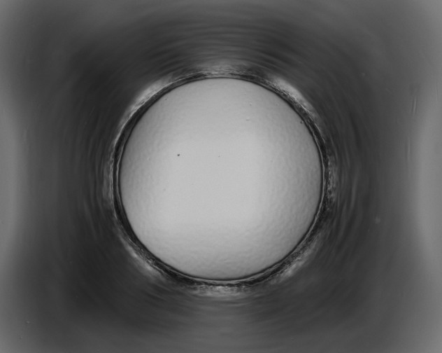 X0000086910986200705071300