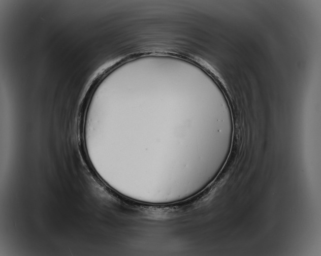 X0000086910987200705071300