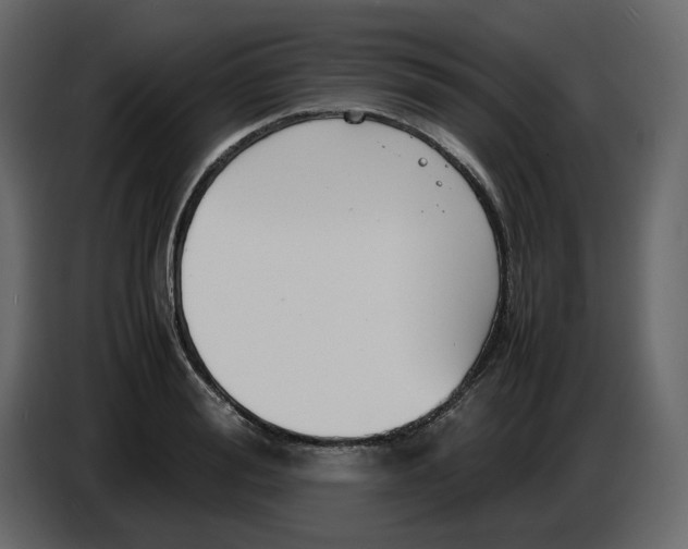 X0000086910988200705071300