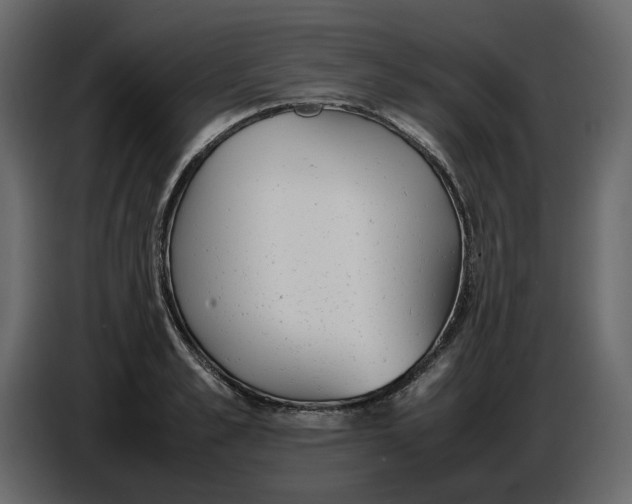 X0000086910989200705071300