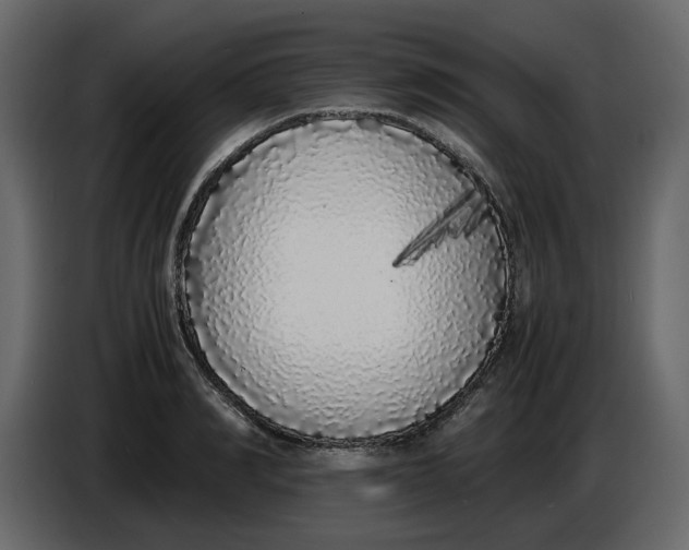 X0000086910990200705071300