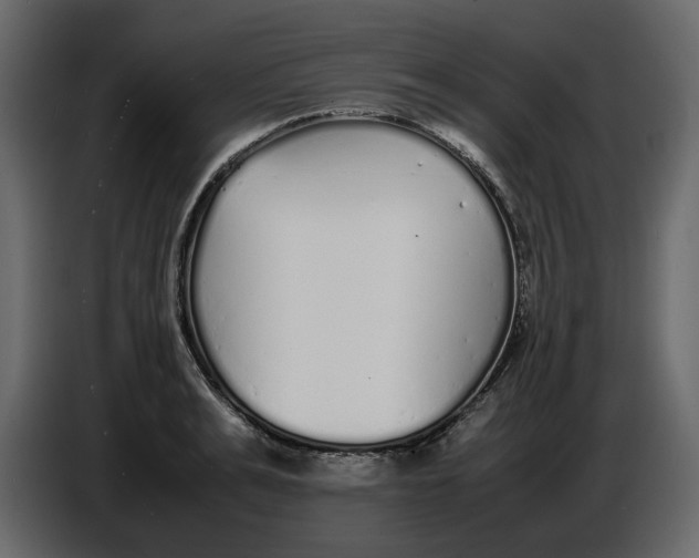 X0000086910991200705071300