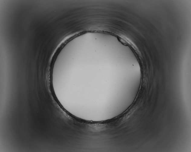 X0000086910992200705071300