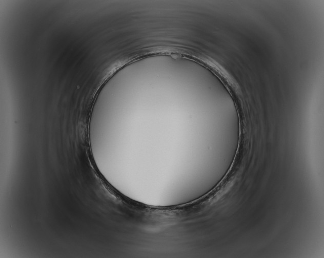 X0000086910993200705071300