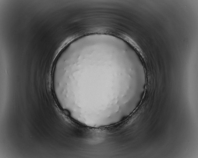 X0000086910994200705071300