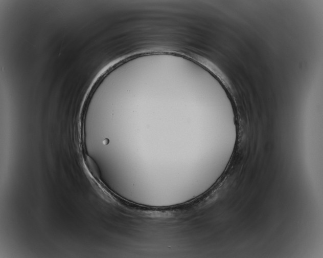 X0000086910996200705071300