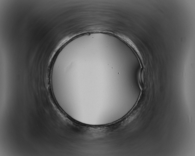 X0000086910997200705071300