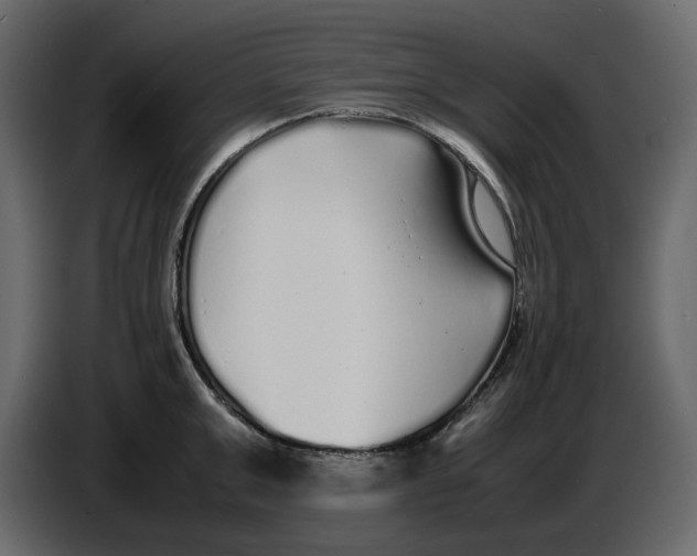 X0000086910999200705071300