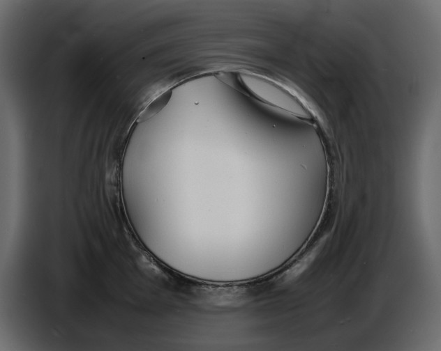 X0000086911001200705071300