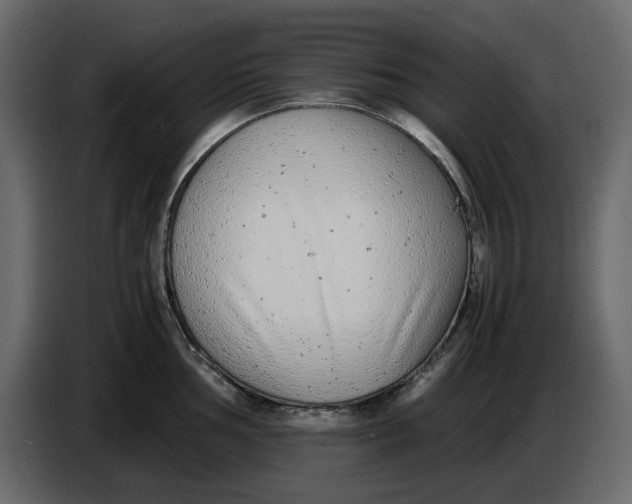 X0000086911002200705071300