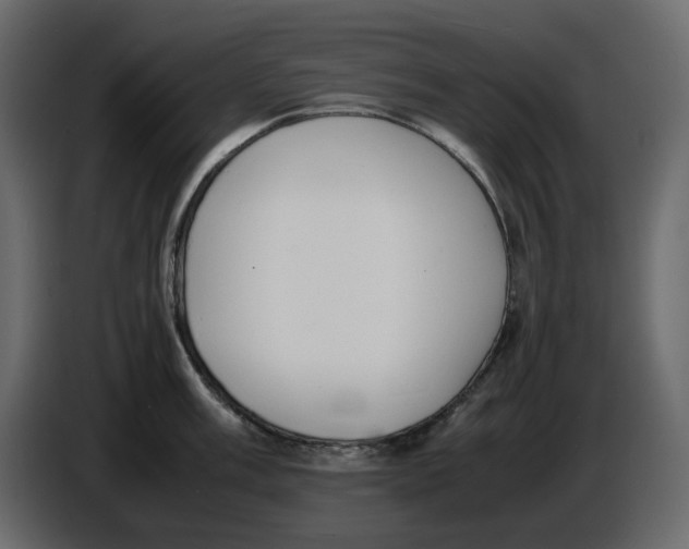 X0000086911003200705071300